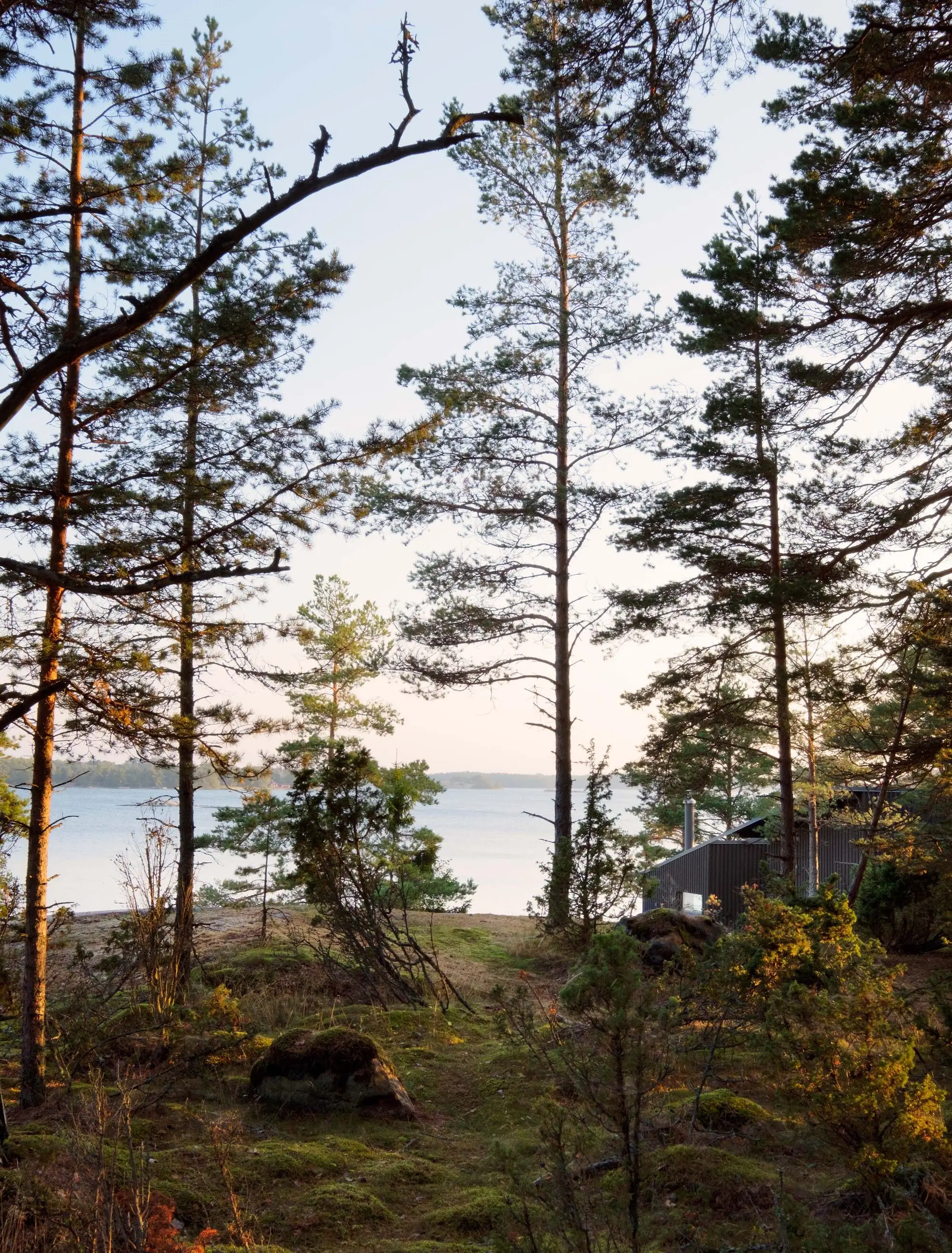 Furuholmen 别墅 STRÅ Arkitekter   Arkitekt Sarita Poptani_1172897_14.webp