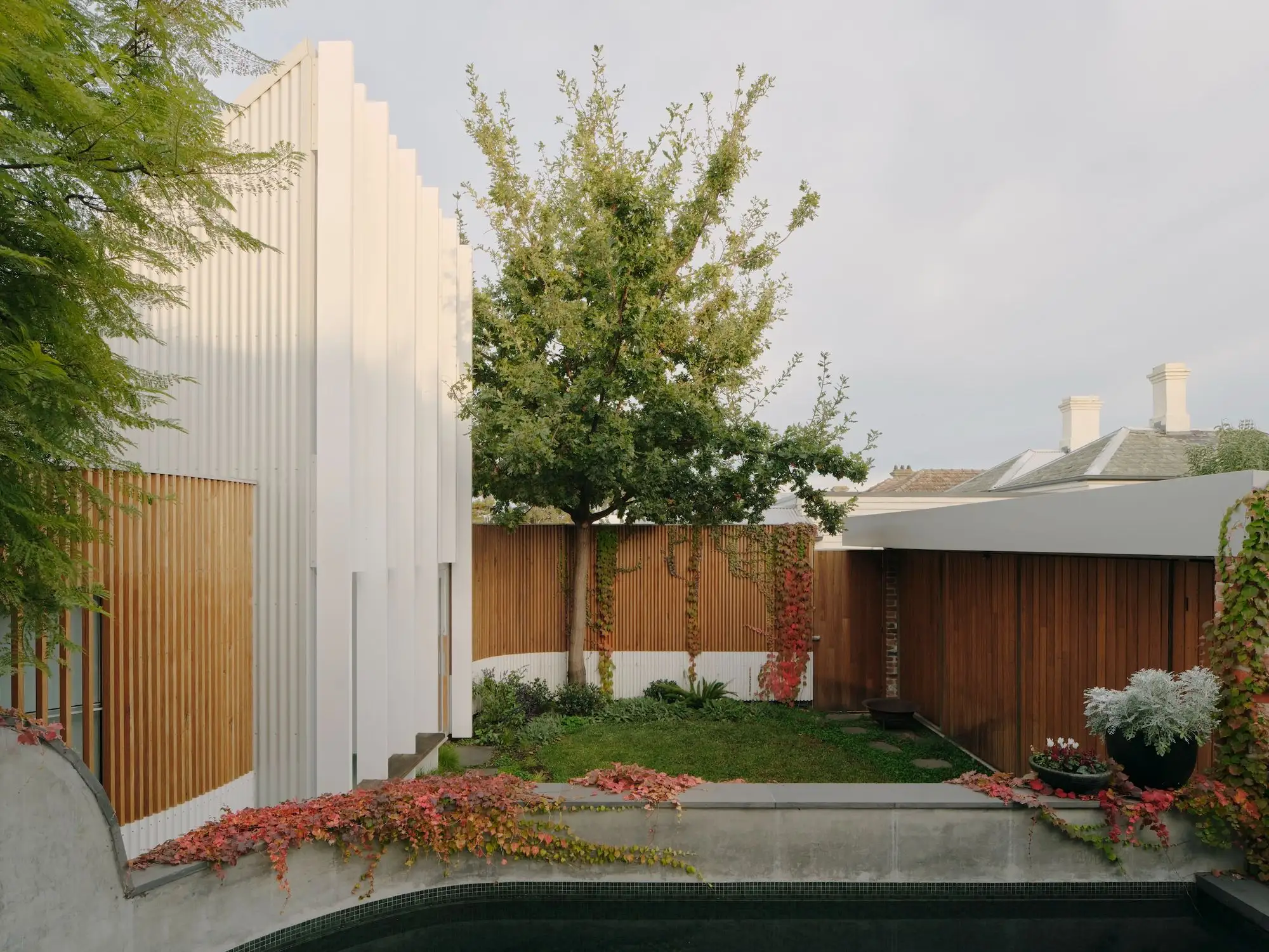 Hawthorn I 工作室 Agius Scorpo Architects_1172266_1.webp