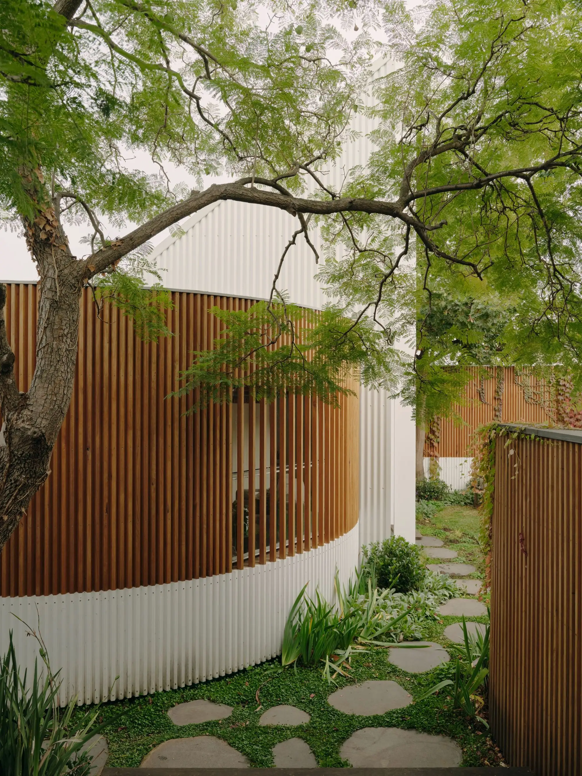 Hawthorn I 工作室 Agius Scorpo Architects_1172266_8.webp
