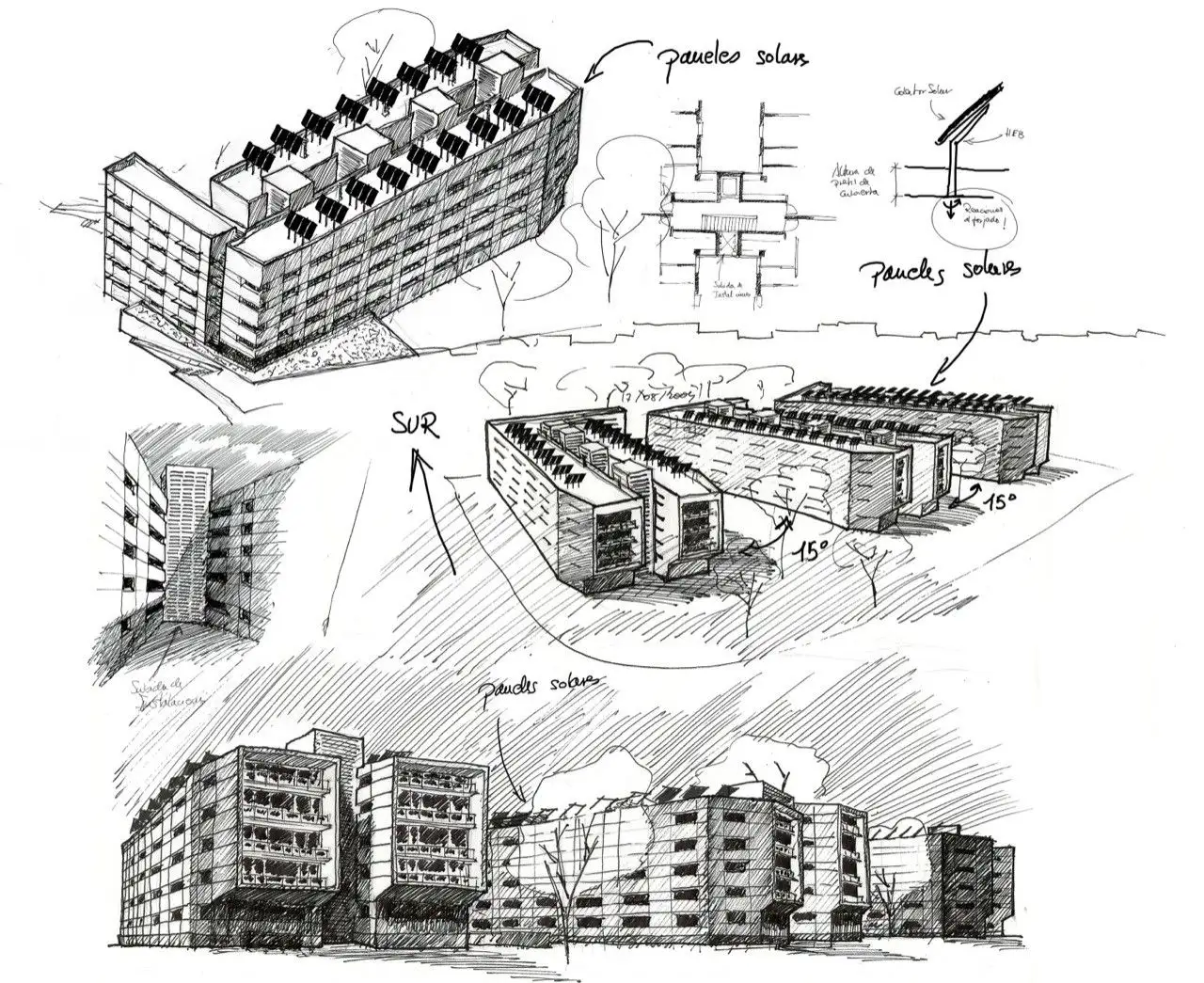 雷亚尔港的可持续住宅_16.webp