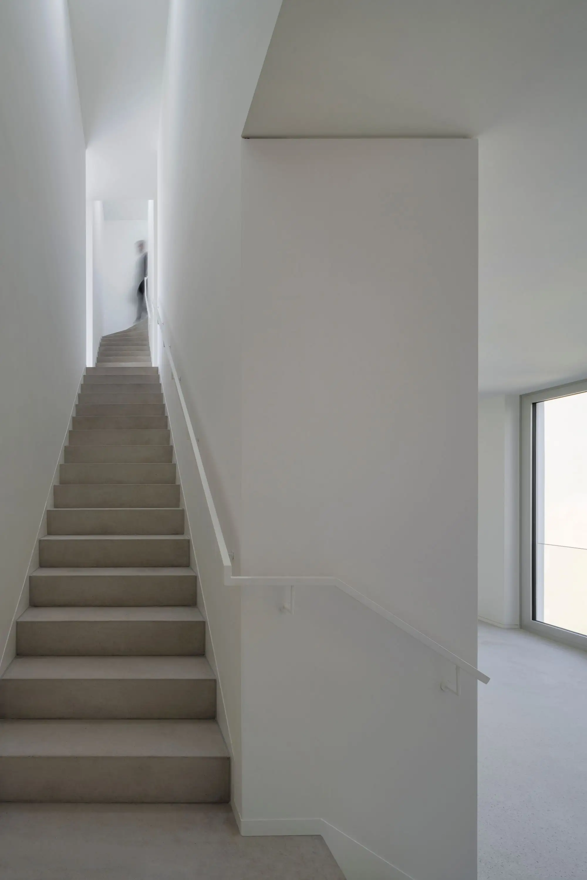 House Z Atelier Zafari_1184978_16.webp
