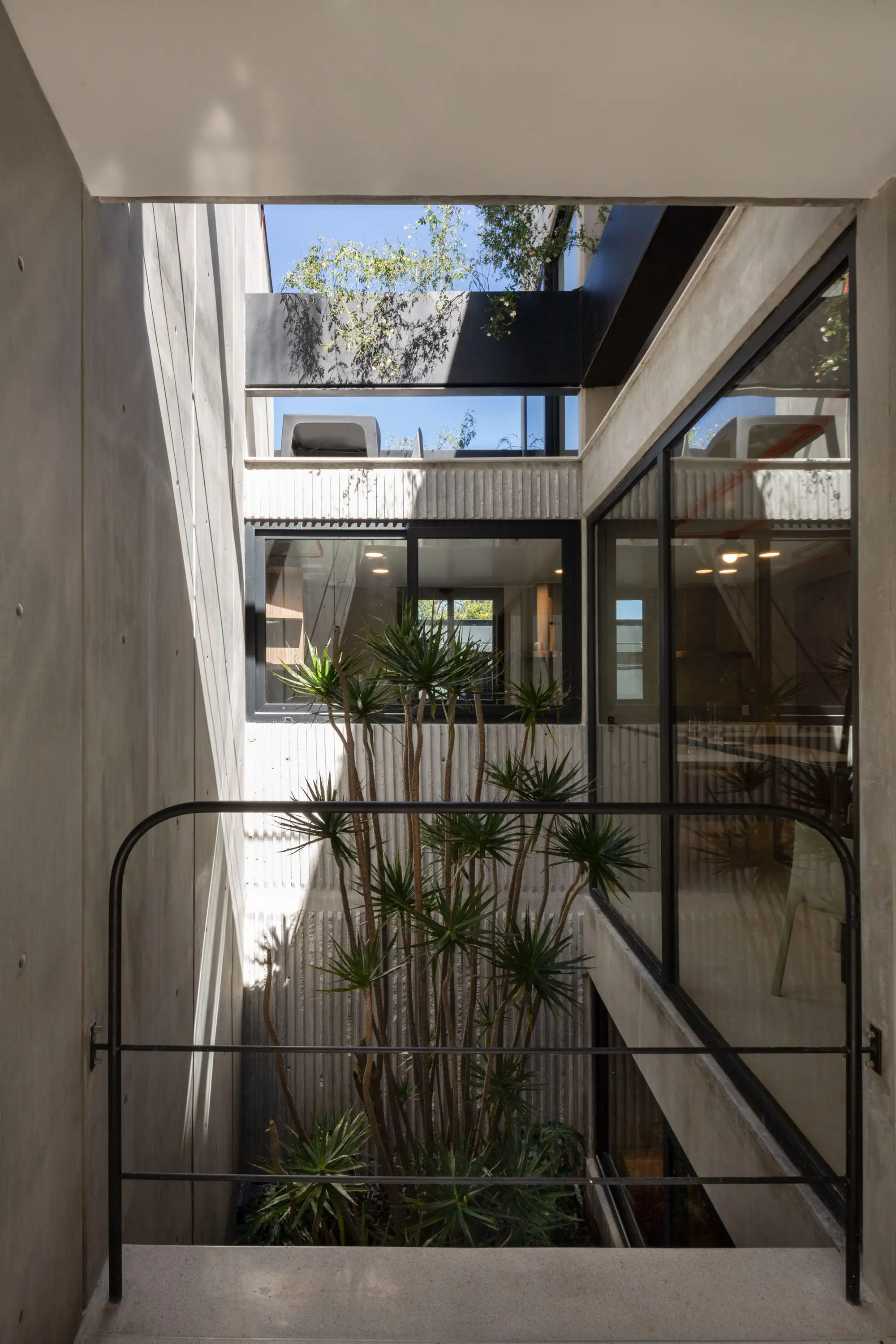 Interlomas 共享公寓 A-001 Taller de Arquitectura_1180388_10.webp