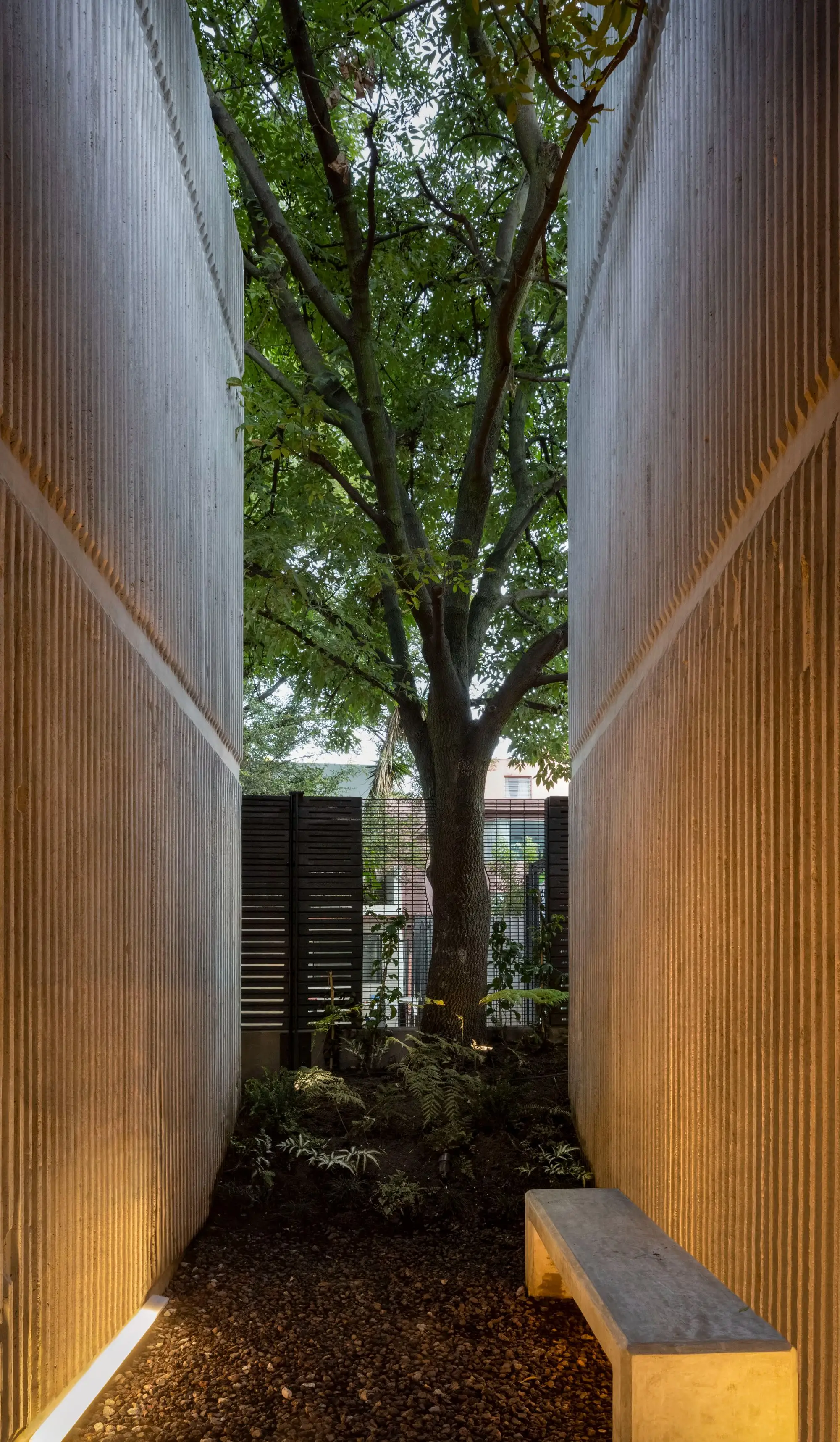Interlomas 共享公寓 A-001 Taller de Arquitectura_1180388_4.webp