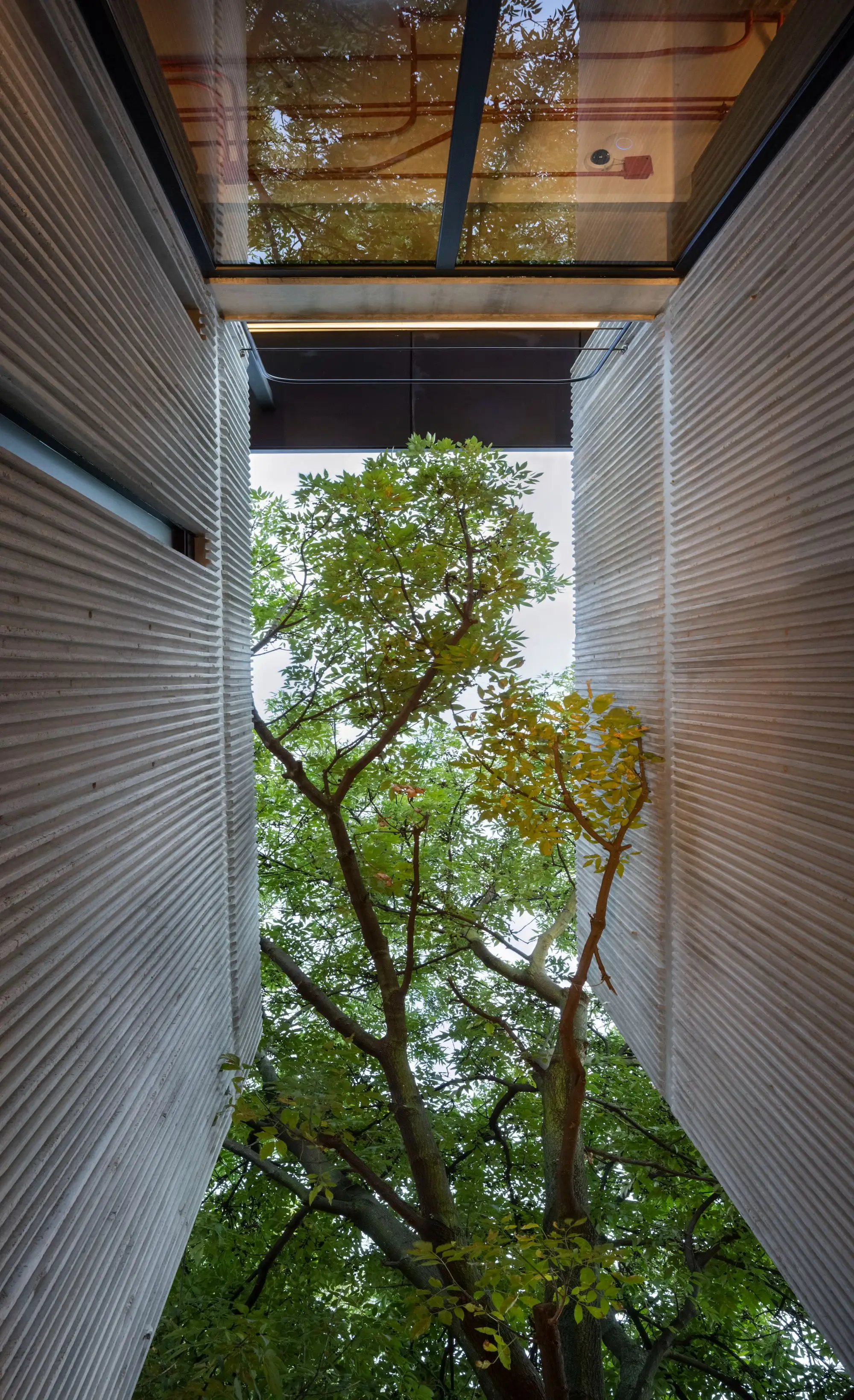 Interlomas 共享公寓 A-001 Taller de Arquitectura_1180388_9.webp