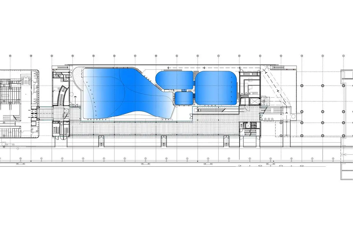 鲸目动物馆_31.webp