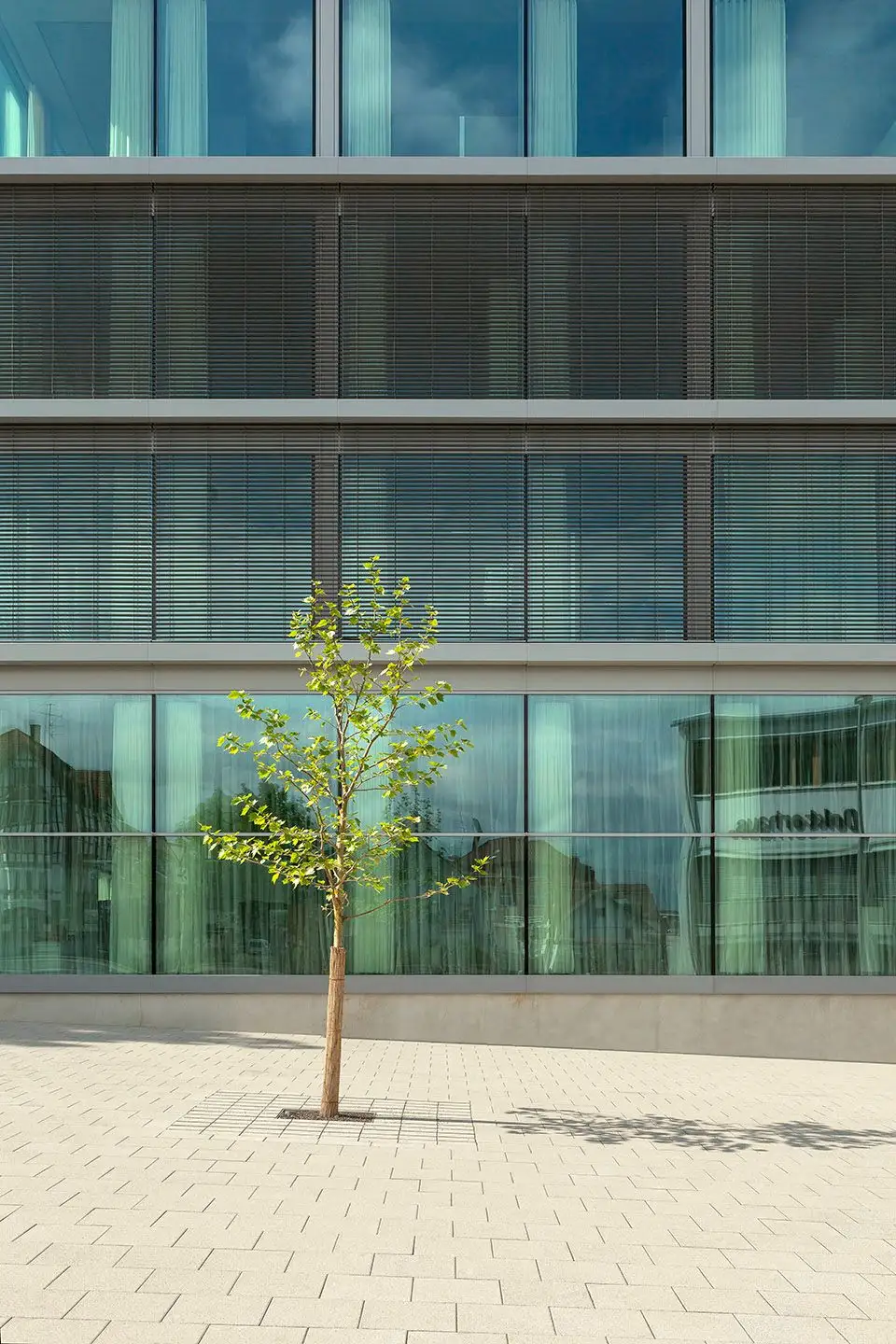 Schwäbisch Media办公楼，德国 Wiel Arets Architects_17.webp