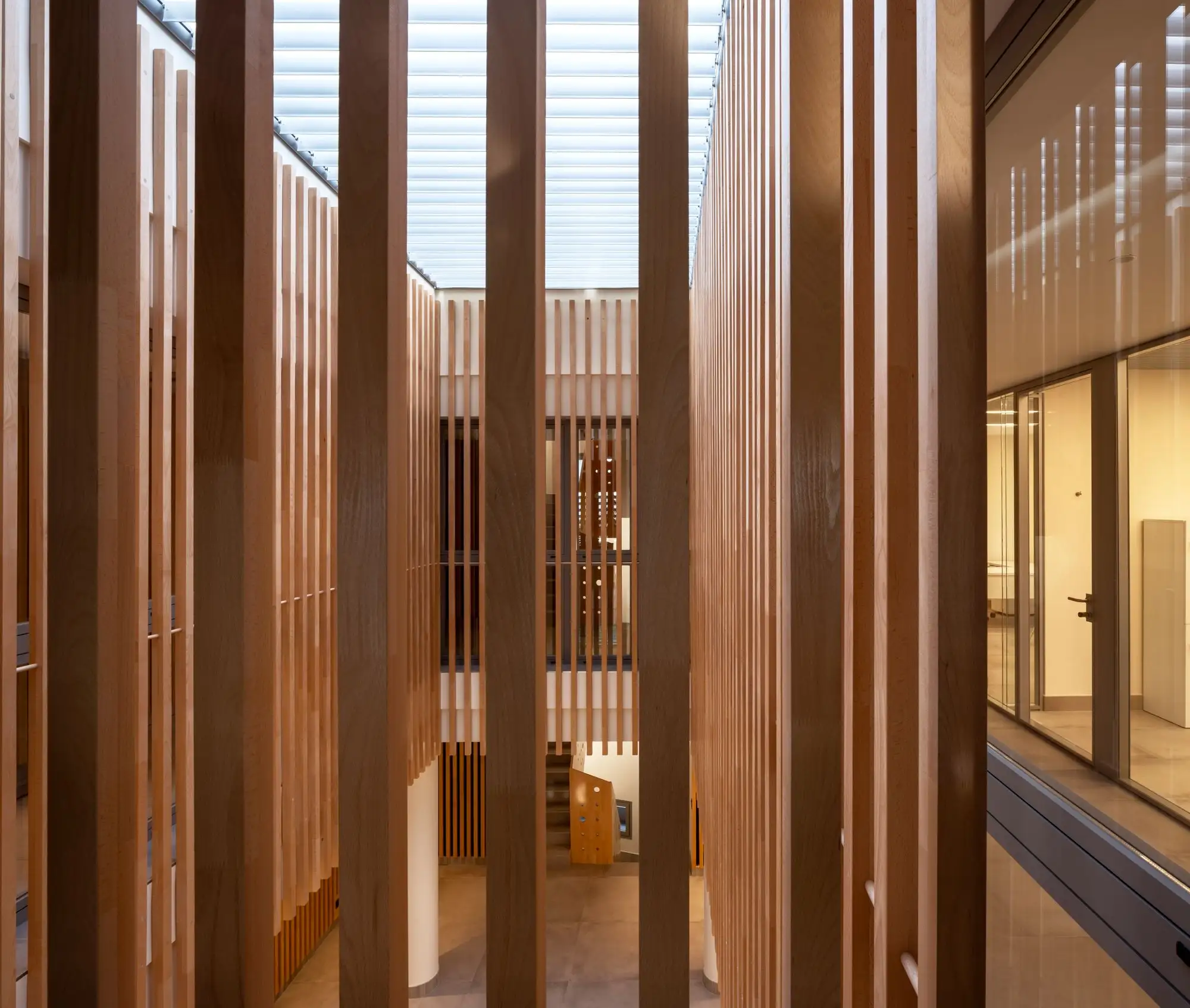 JJP Hospitalaria 办公室改造 Gabriel Verd Arquitectos   Buró4_1180402_12.webp