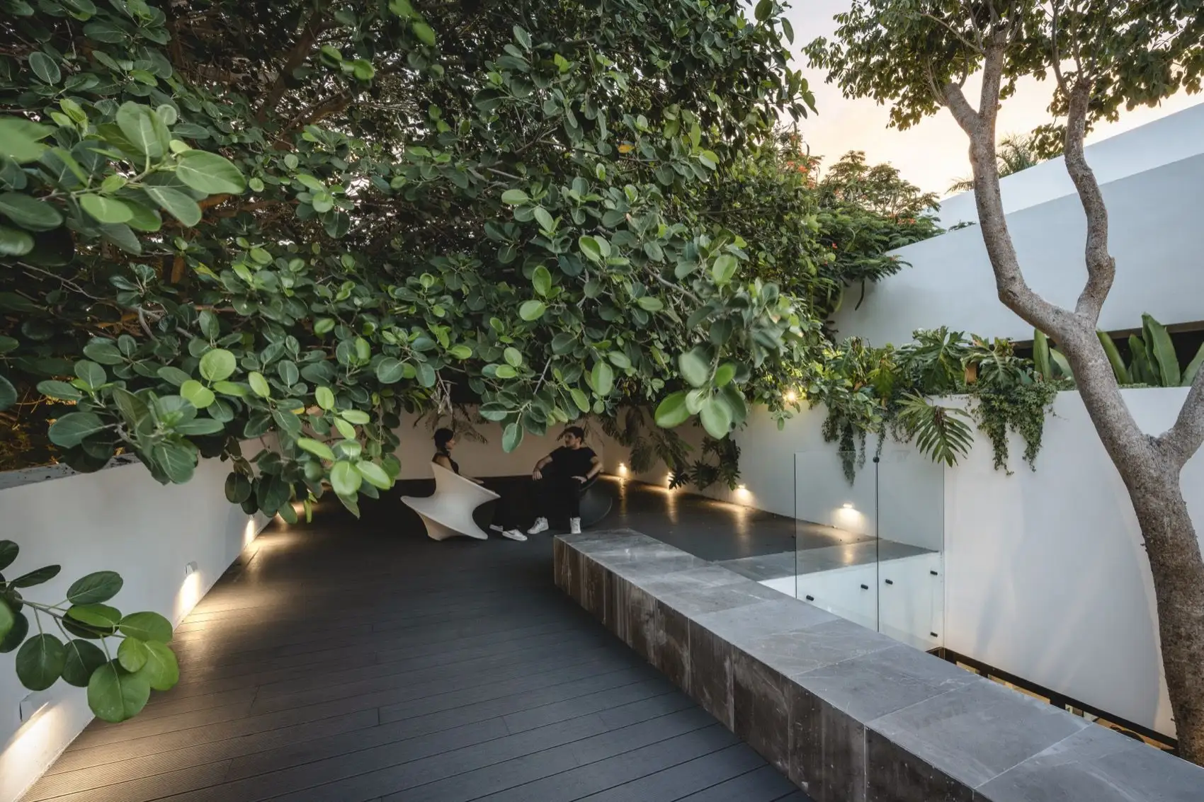 THE ASYLUM办公空间，墨西哥 Arkham Projects_21.webp