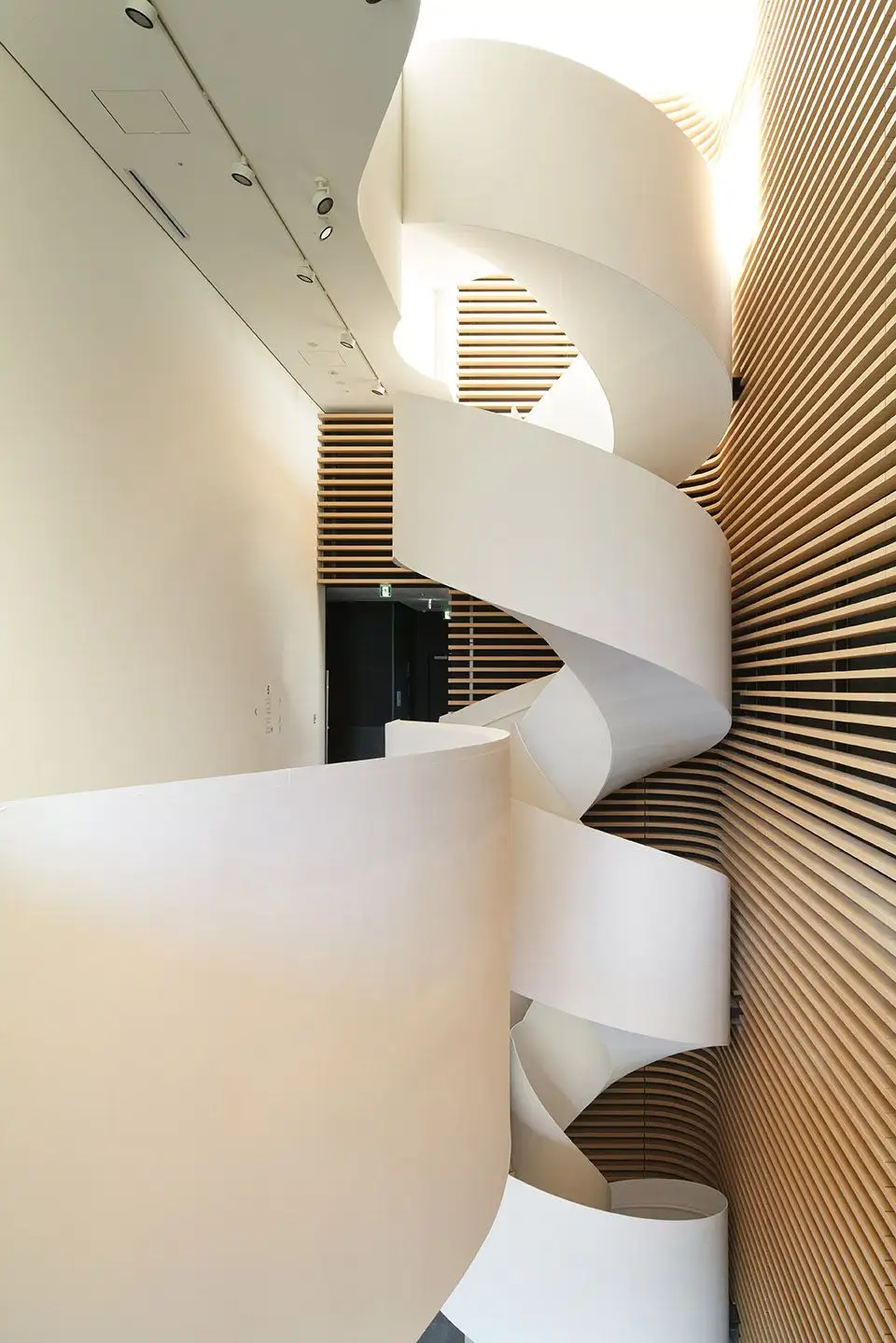 Timber Studio办公楼，日本 高田浩一設計事務所_11.webp