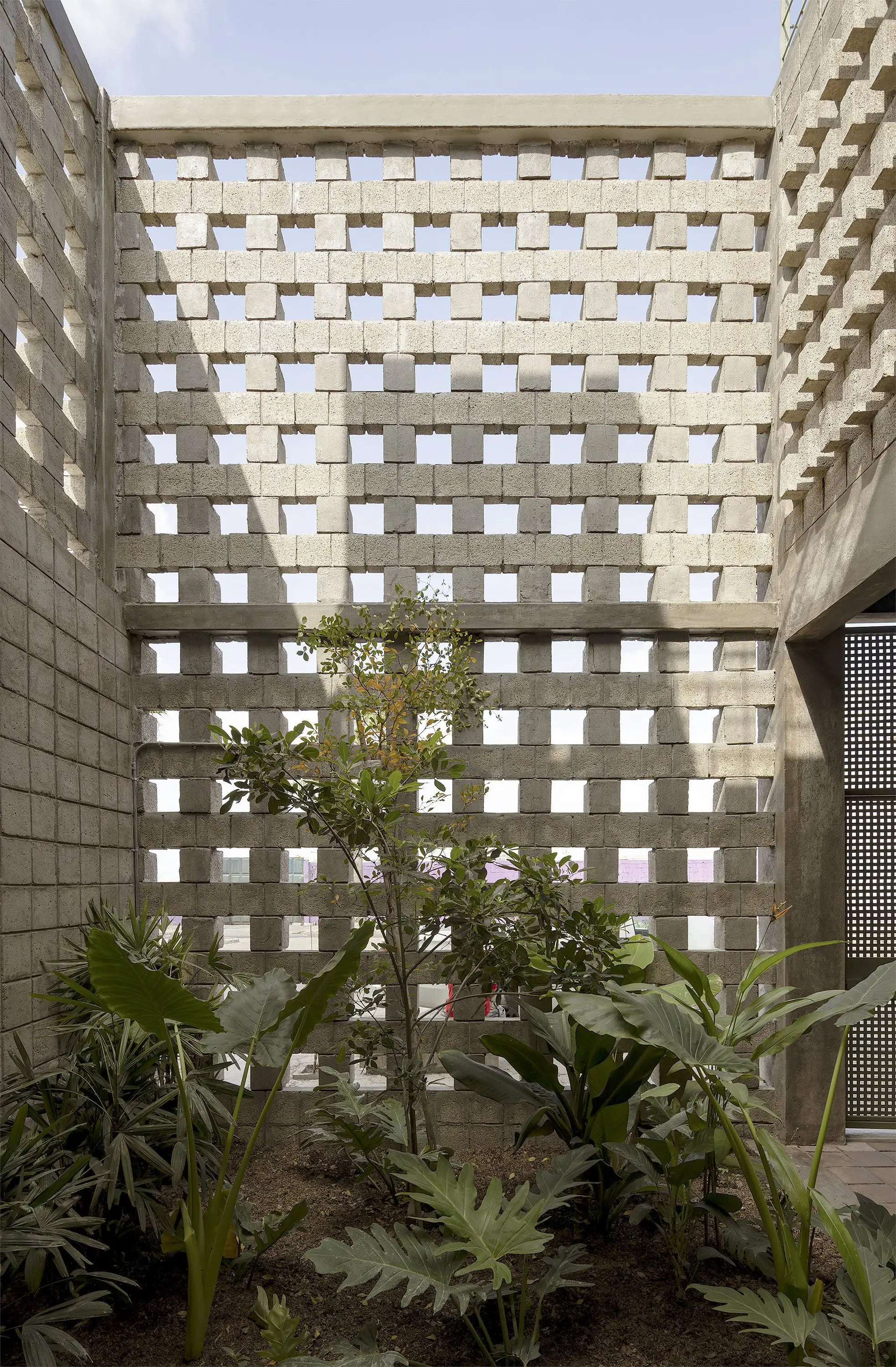 La Colmena - 共享社区基础设施式的多家庭住宅 Ancestra   Natura Futura_1185062_14.webp