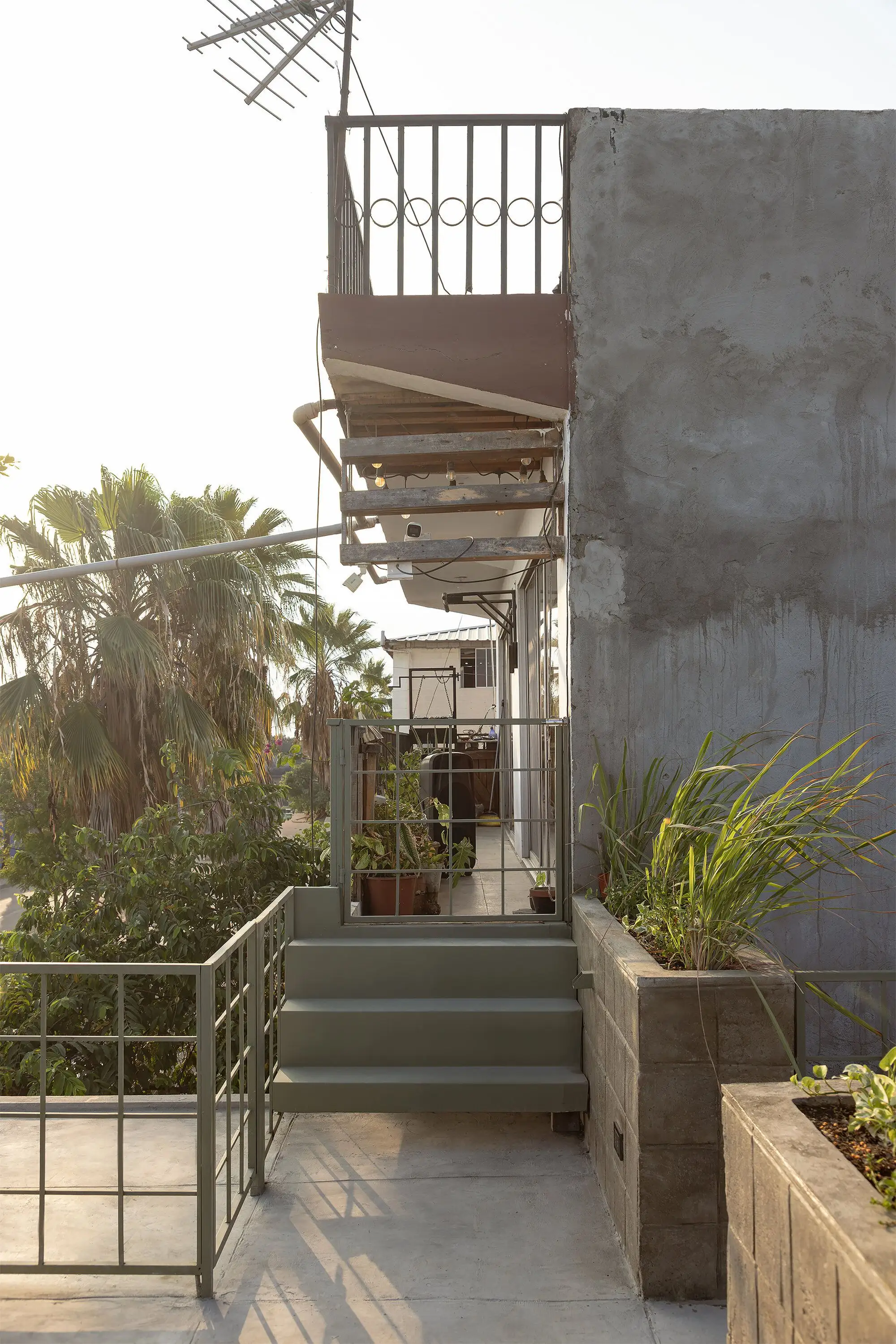 La Colmena - 共享社区基础设施式的多家庭住宅 Ancestra   Natura Futura_1185062_15.webp