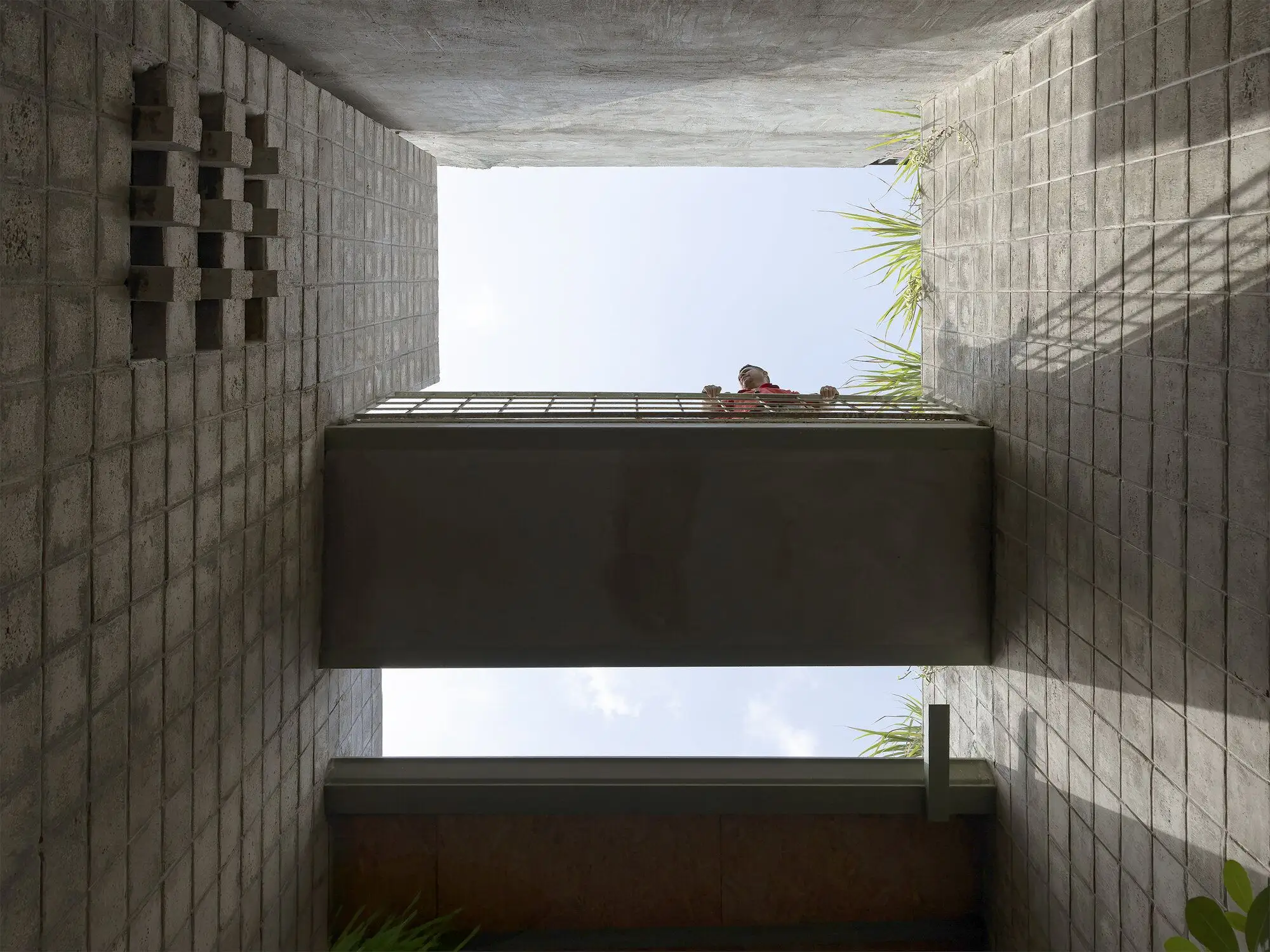 La Colmena - 共享社区基础设施式的多家庭住宅 Ancestra   Natura Futura_1185062_7.webp