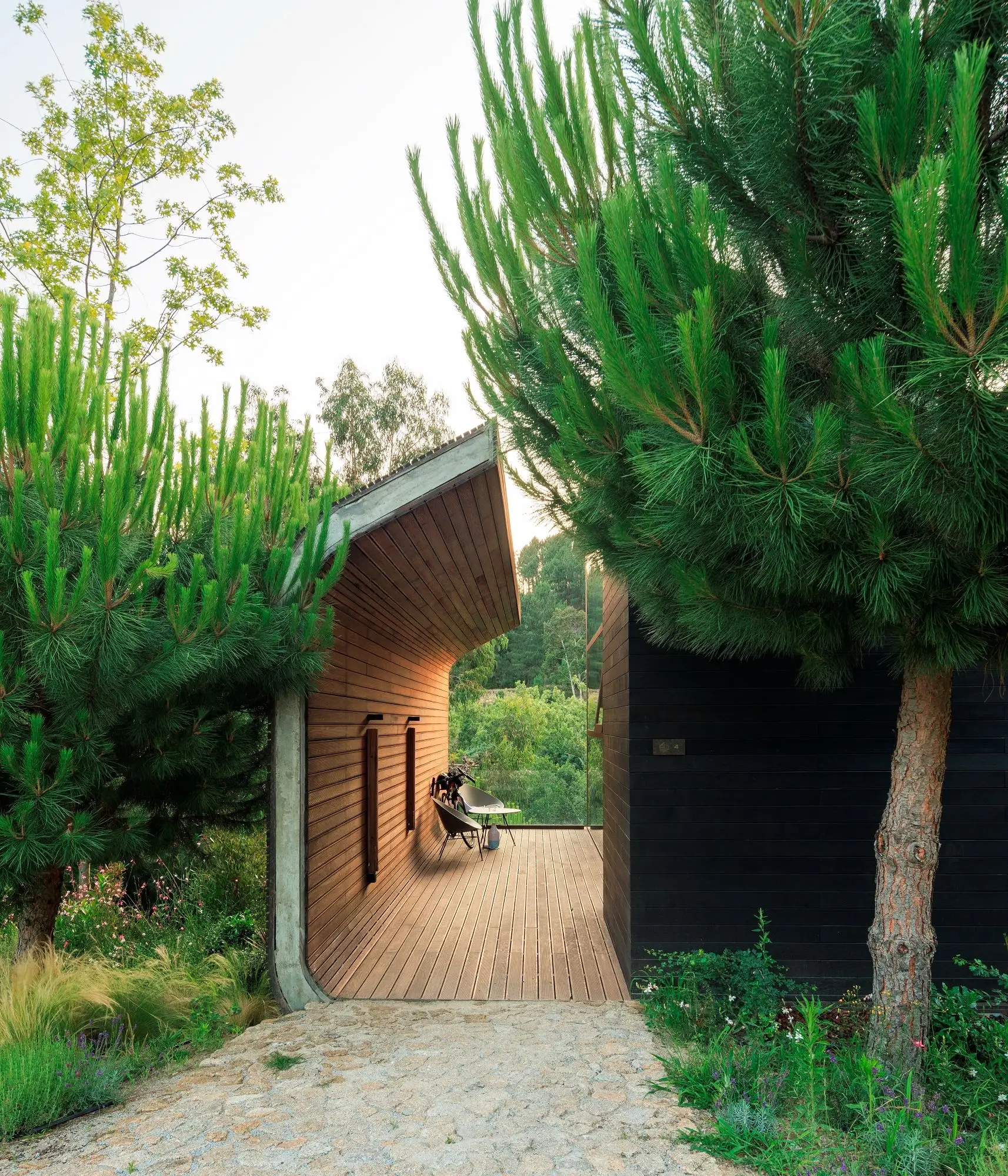 Lavandeira Douro 自然与康养中心 FCC Arquitectura_1174024_10.webp