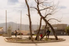 Abejas 体育与娱乐中心 border arquitectos_1183779_15