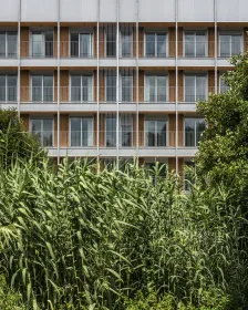 4栋建筑，74套公共推广住宅，位于庞特维德拉 Valdecorvos Díaz y Díaz Arquitectos_1186535_8