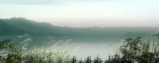 颐龙湾动画片