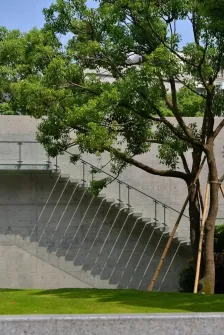 10132937_2