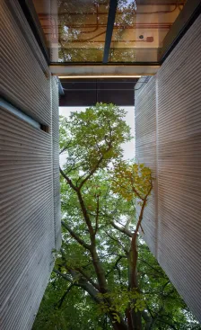 Interlomas 共享公寓 A-001 Taller de Arquitectura_1180388_9