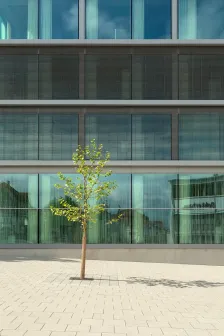 Schwäbisch Media办公楼，德国 Wiel Arets Architects_17