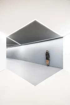 ARV 办公室，西班牙 Fran Silvestre Arquitectos_09