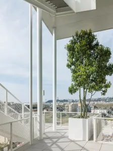 Anis办公大楼，法国 DREAM + Nicolas Laisné Architectes_08