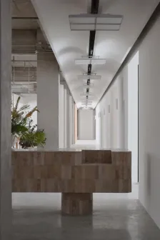 deepmoss新办公室，厦门 DEVOLUTION退化建筑_12