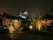 西湖南线--城市夜景