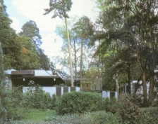 双精度型别墅(double house)
