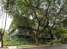 Bothanic Faria Lima 大楼 Del Bianco Arquitetos + AMZ Arquiteto_1185320_5