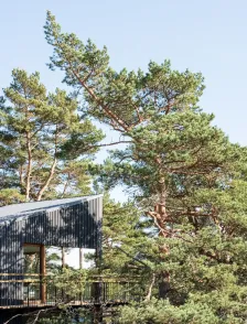 Furuholmen 别墅 STRÅ Arkitekter + Arkitekt Sarita Poptani_1172897_13