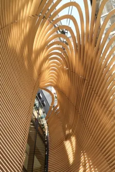 Timber Studio办公楼，日本 高田浩一設計事務所_09