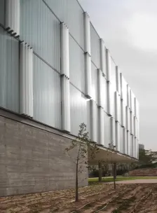 10133950_8