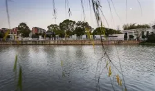 上海浦东金桥镇永建路小公园---上海善祥建筑设计有限公司_8319_8