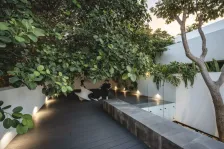 THE ASYLUM办公空间，墨西哥 Arkham Projects_21