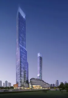某项目4