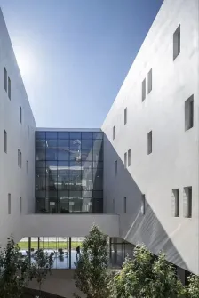 10133950_5