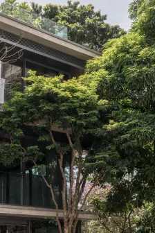 Bothanic Faria Lima 大楼 Del Bianco Arquitetos + AMZ Arquiteto_1185320_25