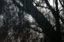 Casas de Autor 群岛 animated 展馆 alarciaferrer arquitectos_1174953_21