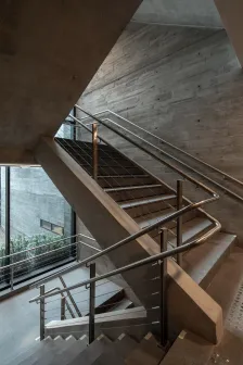Bothanic Faria Lima 大楼 Del Bianco Arquitetos + AMZ Arquiteto_1185320_6
