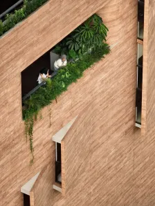 Sagehaus办公花园，印度尼西亚 RAD+ar_15