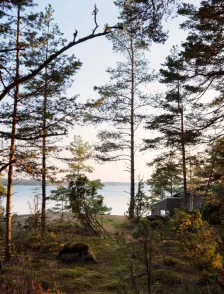 Furuholmen 别墅 STRÅ Arkitekter + Arkitekt Sarita Poptani_1172897_14
