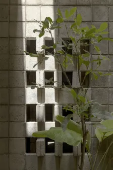 La Colmena - 共享社区基础设施式的多家庭住宅 Ancestra + Natura Futura_1185062_11