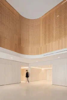 ALLO阿尔坎塔拉里斯本办公楼，葡萄牙 Saraiva + Associados_09