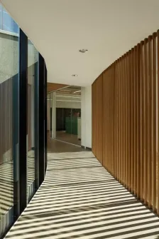 10133949_25