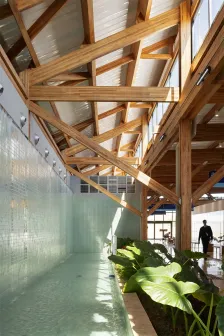 Doutor Leite Lopes 州立机场 Bacco Arquitetos Associados_1184576_17