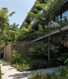 Bothanic Faria Lima 大楼 Del Bianco Arquitetos + AMZ Arquiteto_1185320_26